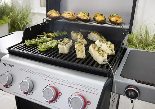 Weber Summer Collection | Hot New Grills, How-To's, and Special